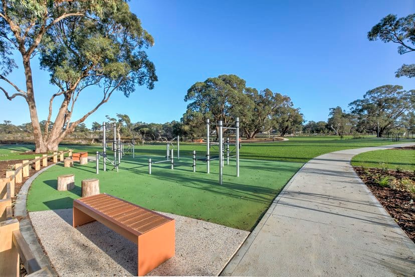 Tiny Heart - Black Swan Lake